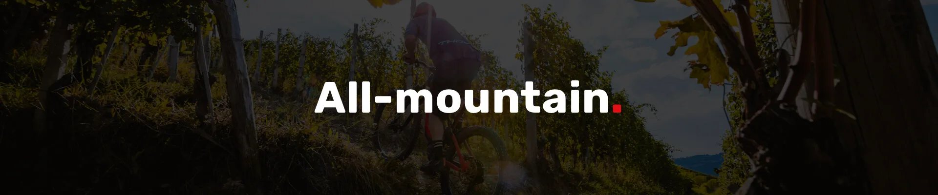 All-mountain:Enduro 2