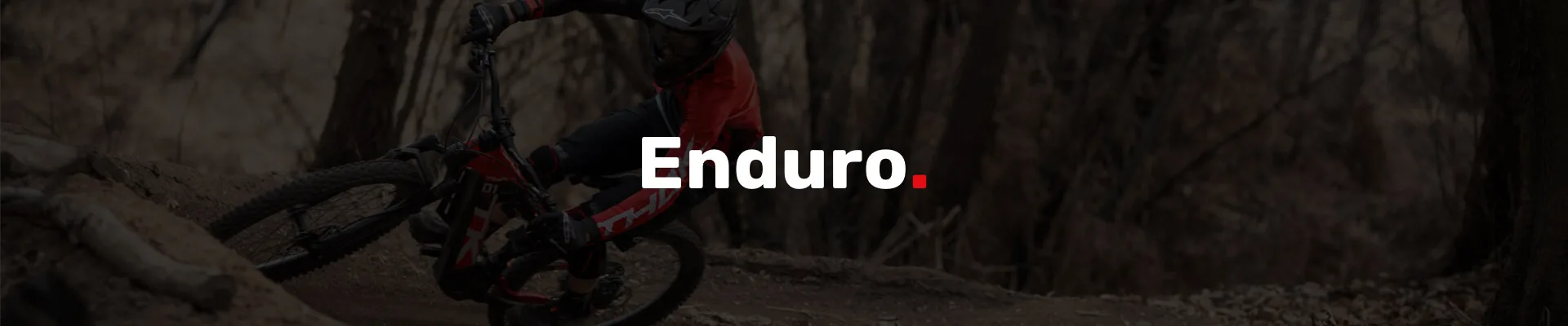 All-mountain:Enduro 6