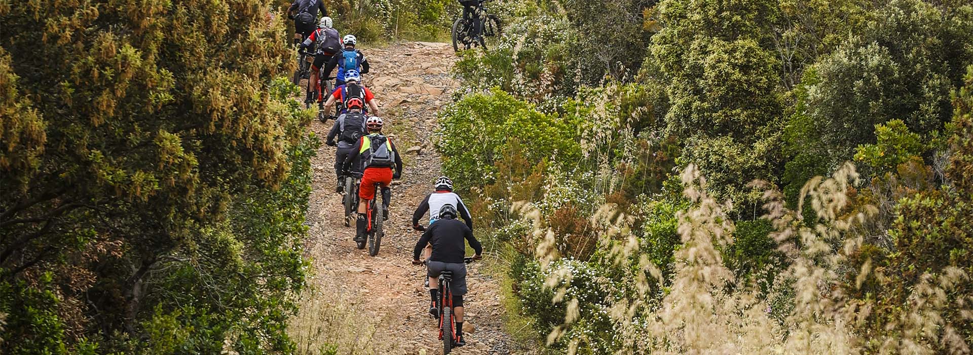 Thok Event - Raduno “Berici Hills” powered by THOK-Il Ciclista – Montecchio Maggiore (VI)