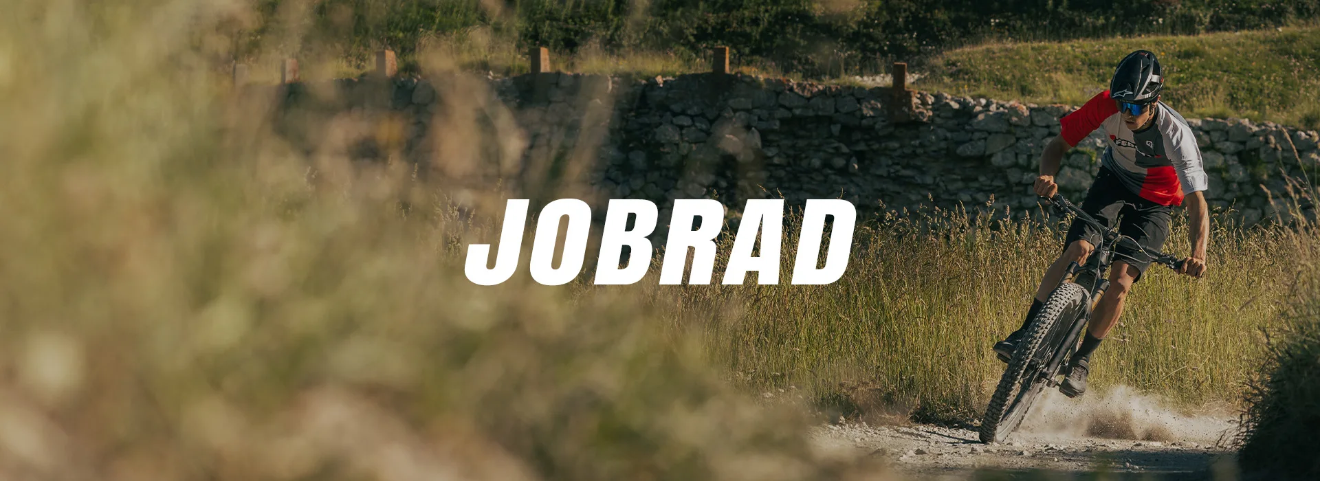 Thok news - JOBRAD