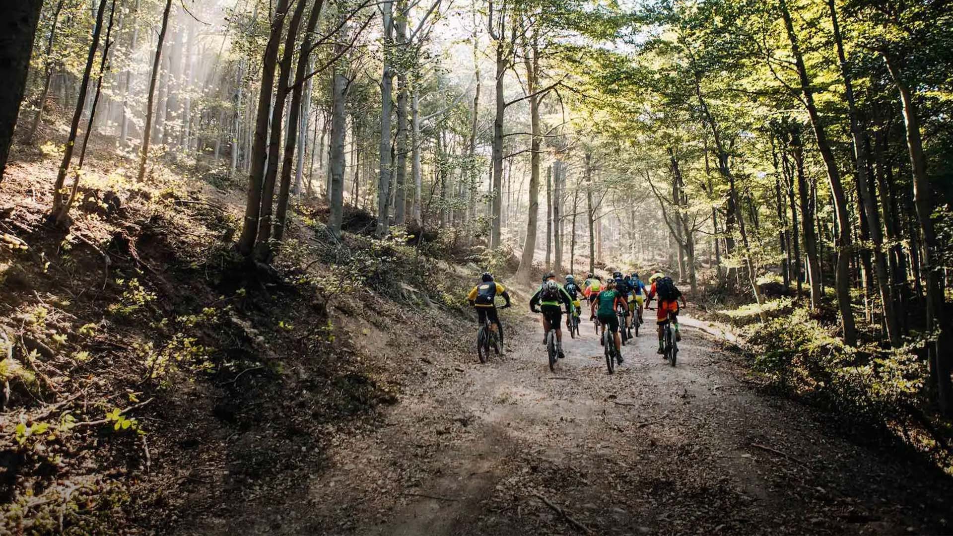 Thok Event - THOK fRIDEy - Test Your Next THOK!