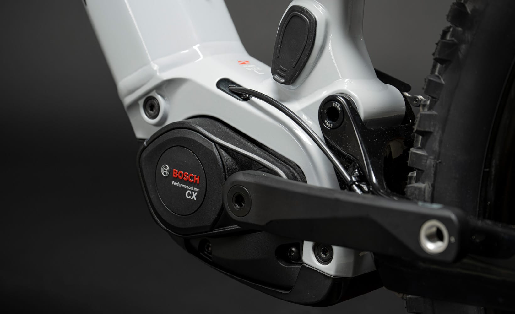 BOSCH PERFORMANCE LINE CX BDU384Y