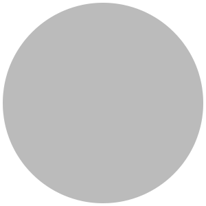 Lunar Grey