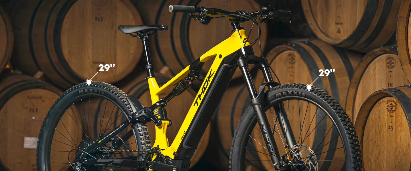 Ruote da 29” 